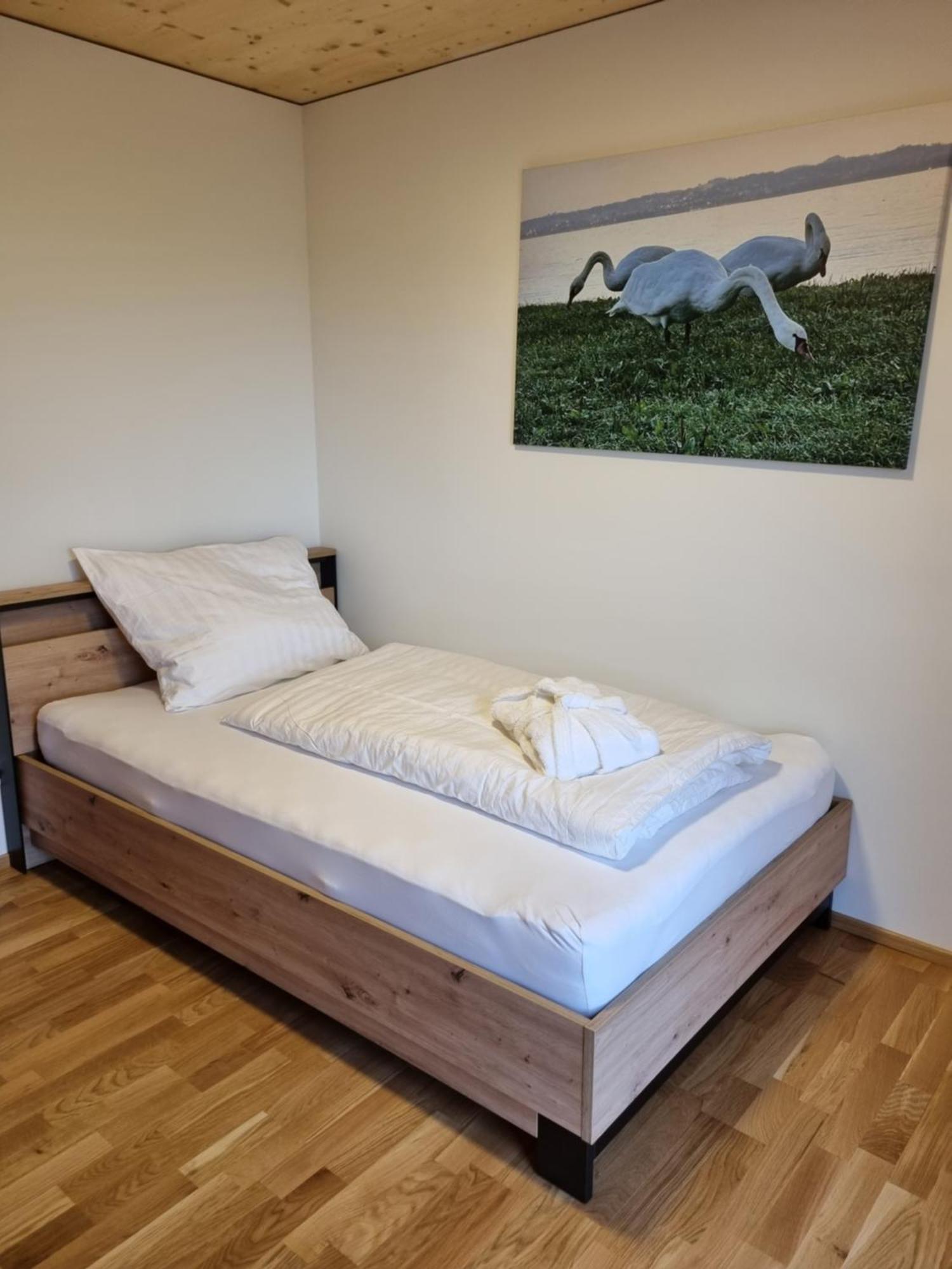 Ad-Fontanas Appartements ברגנץ מראה חיצוני תמונה
